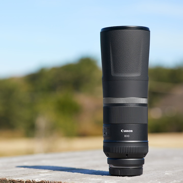 Produktbild Canon RF 800mm f/11 IS STM (Canon RF, Vollformat)