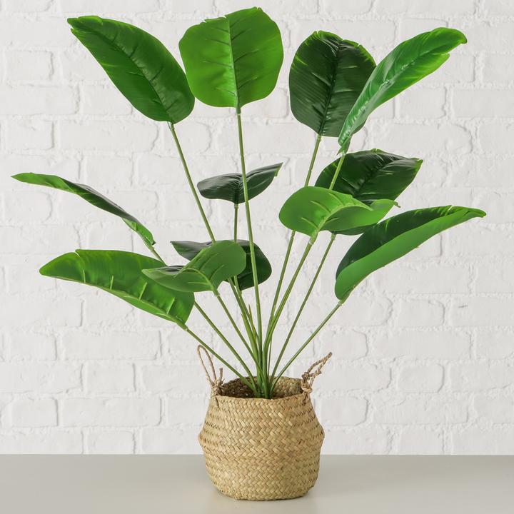 Immagine prodotto Boltze Home Topfpflanze (68 cm)
