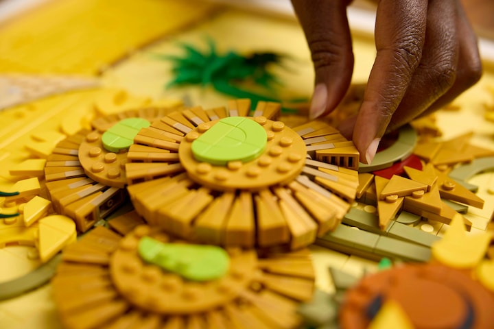 Immagine prodotto LEGO Vincent van Gogh - Girasoli (31215, LEGO DC, Set LEGO rari)