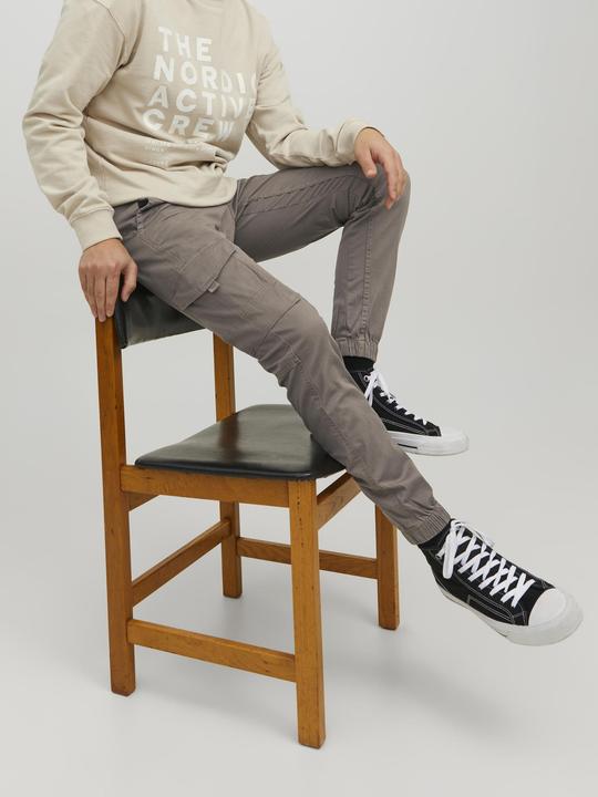Image du produit Jack & Jones PAUL FLAKE AKM 542 Pantalon cargo (33)