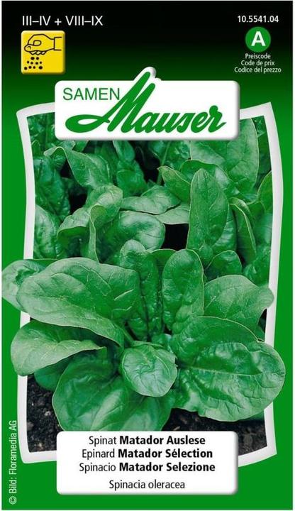 Actual product image Samen Mauser Spinach Matador selection (Vegetable seeds)