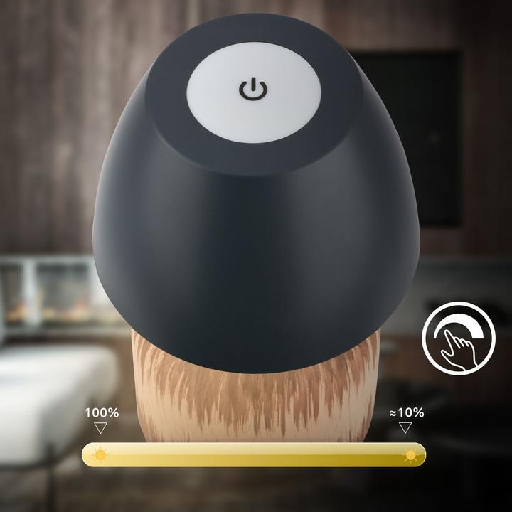 Actual product image Briloner Brilo unplugged CERA Akku LED Tischleuchte mit Touchdimmer- Anthrazit, Holz (200 lm)