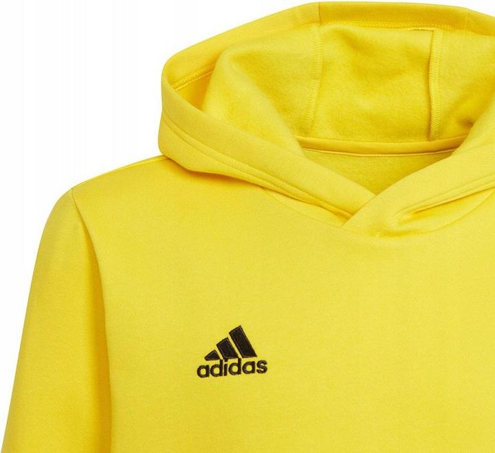 Produktbild Adidas Entrada 22 Kapuzenpullover (164)