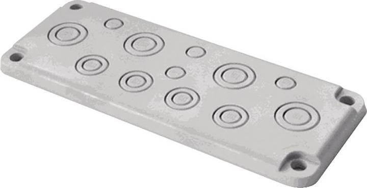 Actual product image Schneider Electric Insulated cable entry plate FL21 NSYTSAKFL