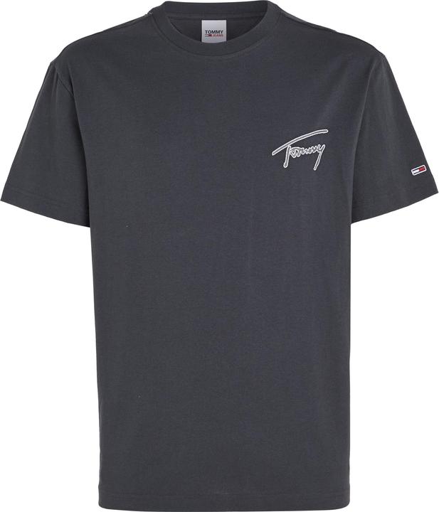 Actual product image Tommy Hilfiger TJM CLSC Signature T DM0DM16240 Pub L (L)