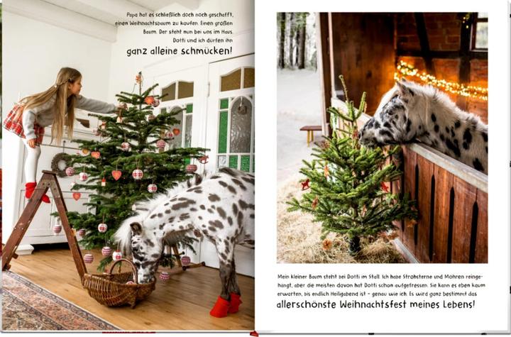 Produktbild Lotti & Dotti warten auf Weihnachten