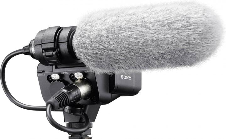 Actual product image Sony XLR-K3M