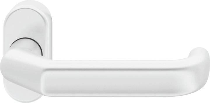 FSB Framed lever handle 06 0662 Retaining spring B oval rosette aluminium white