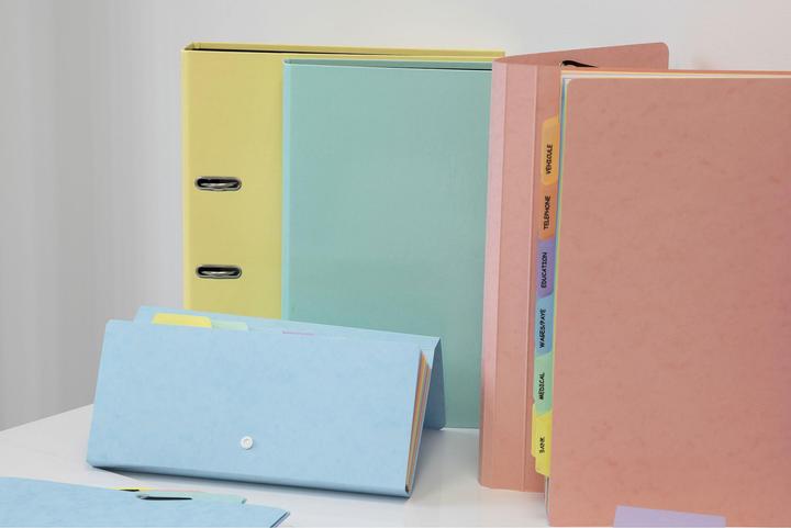 Actual product image Exacompta Ring binders (A4, 25 mm, 1 pcs.)