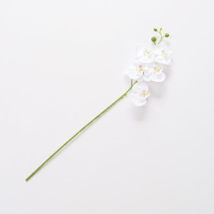 Immagine prodotto Boltze Home Fiore a stelo (6.50 cm)
