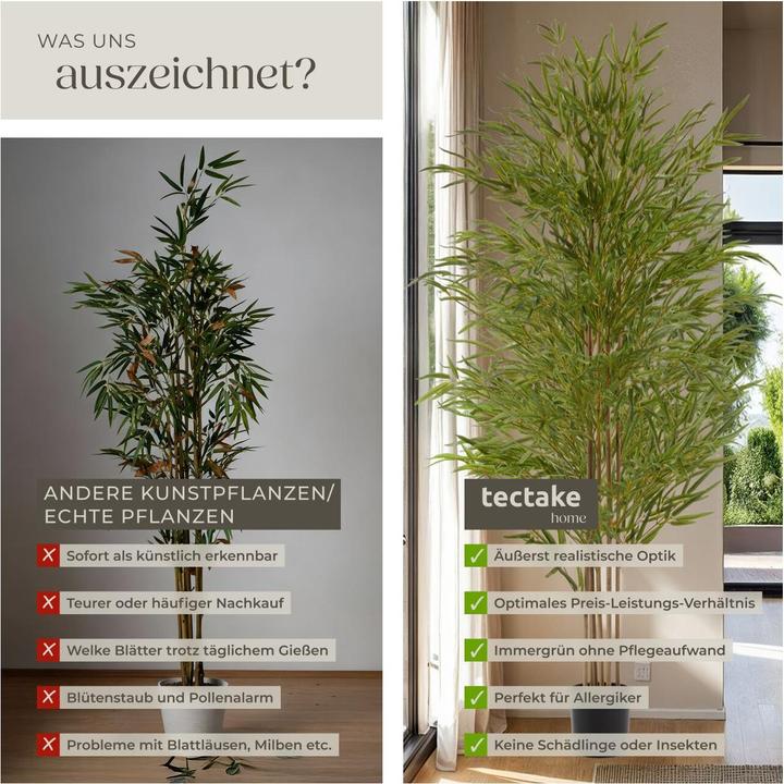 Image du produit tectake Bambusbaum Bambosa (180 cm)