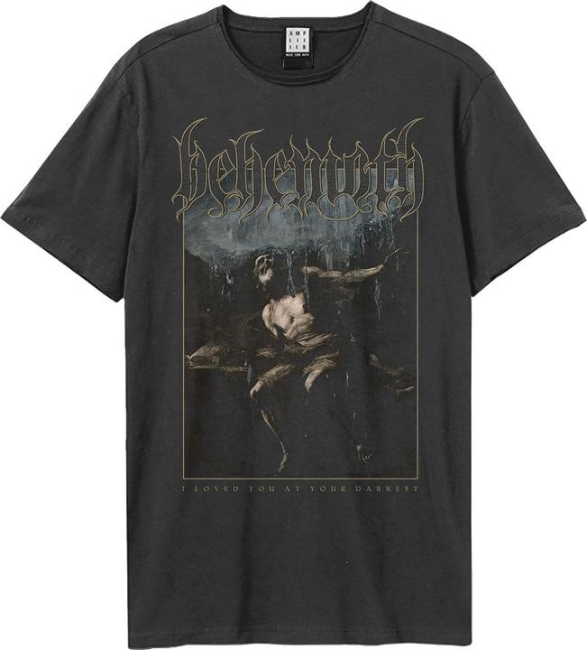 Produktbild Amplified I Loved You At Your Darkest TShirt (M)