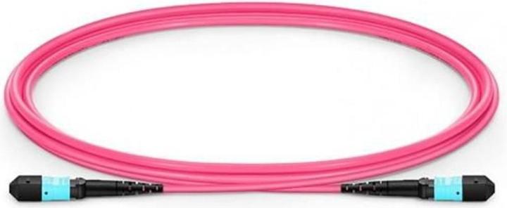 Immagine prodotto Lanview 12 core MTP/UPC-MTP/UPC (S/UTP, CAT6, 2 m)