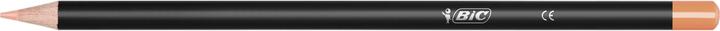 Actual product image Bic Color pencils Intensity (Assorted, 12 x)