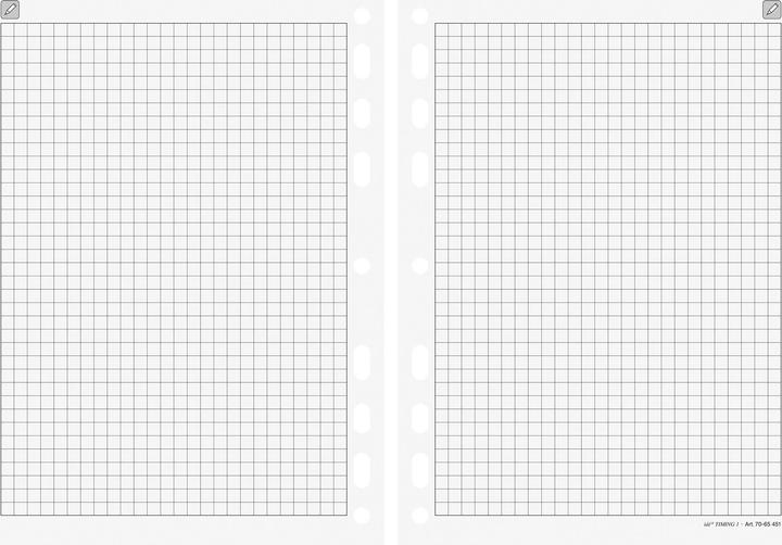 Image du produit Simplex Notes quadrillées Timing 2 7066451.2 93x172mm (Spécial)