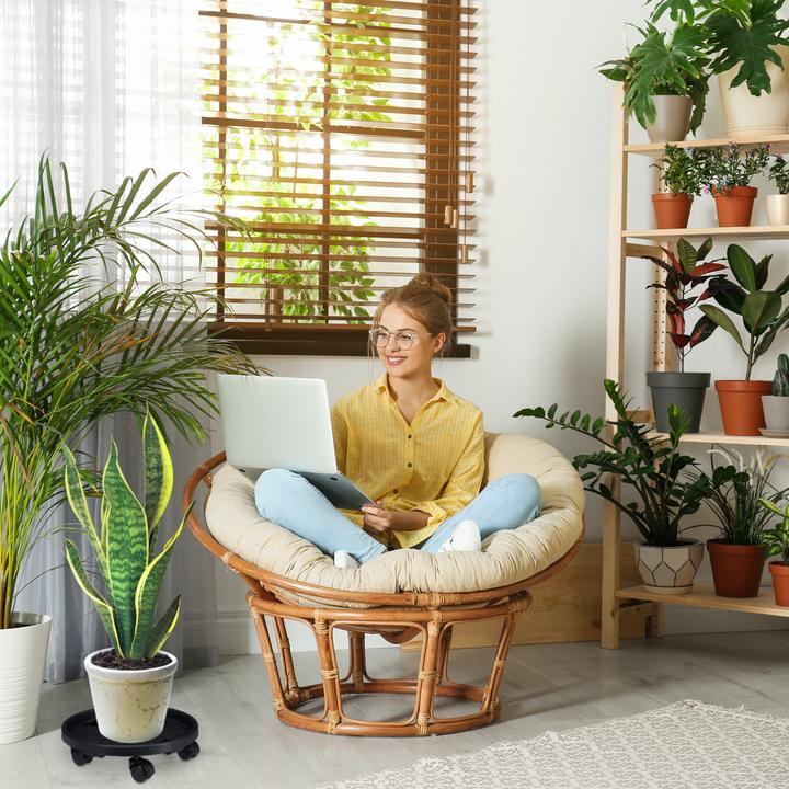 Image du produit Relaxdays Pflanzenroller