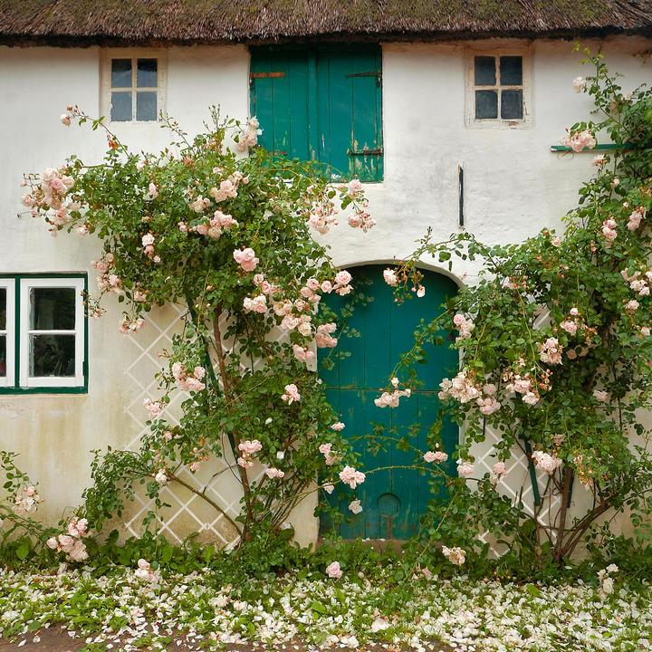 Image du produit Relaxdays 3x treillis (1.50 cm, 60 cm)