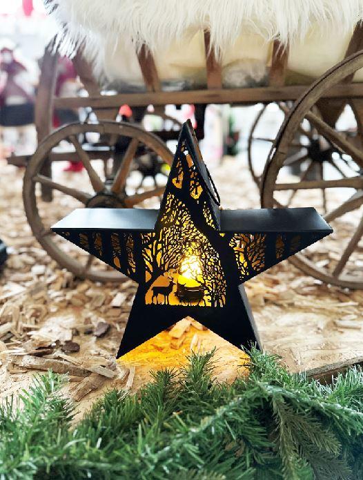 Produktbild GuGus Stern Forest aus Metall