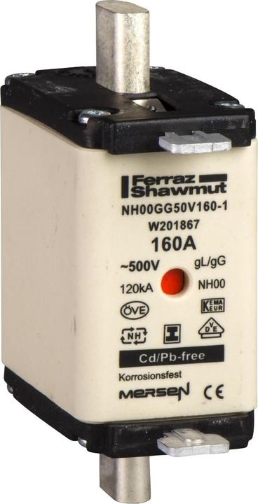 Actual product image Schneider Electric SE DF2-HN1251 Fuse 250A size 1 (250 A)