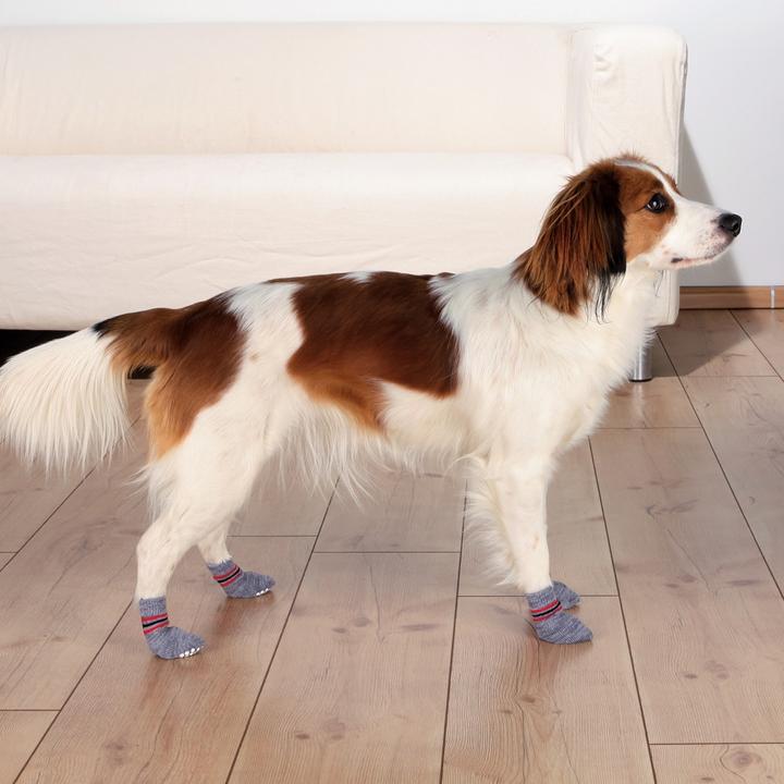 Produktbild Trixie Hundesocken (L, XL, Hundesocken)