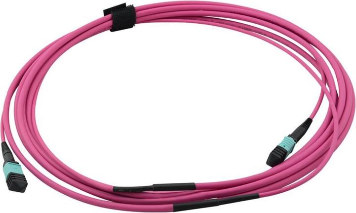 Immagine prodotto Value Cavo dorsale MPO (3 m)