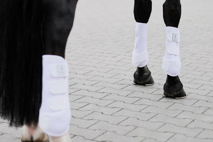 Immagine prodotto Eskadron Ghette Pro Dressage Front Platinum 24