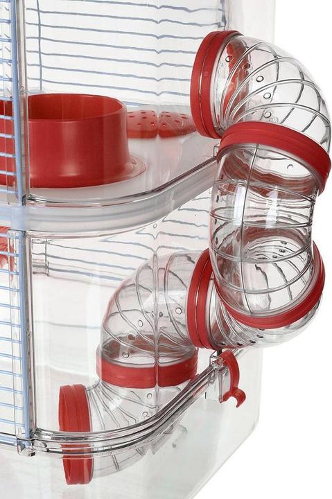 Actual product image Zolux Rody 3