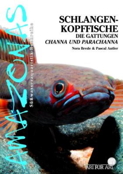 Produktbild Schlangenkopffische (Deutsch, Nora Brede, Pascal Antler, 2022)
