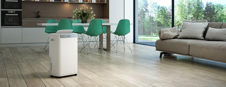 Actual product image Olimpia Splendid Aquaria S1 20 P (90 m², 20 l/24h)