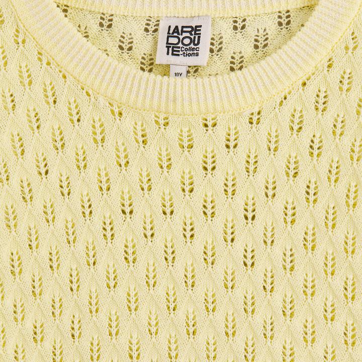 Produktbild La Redoute Collections Pullover aus Lochstrick (140)