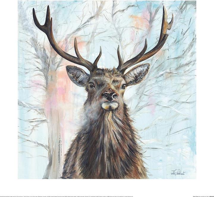 Immagine prodotto Universal Textiles Poster Scaffale Alba (40 x 40 centimetri)