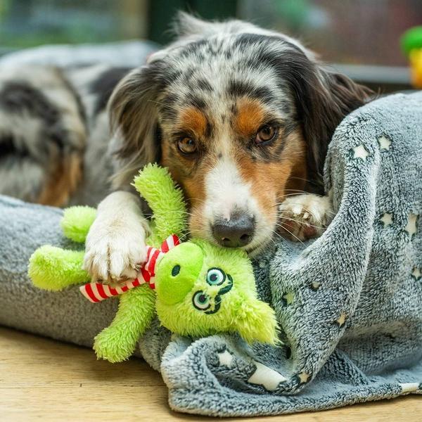 Peluche pour chien Nobby Pet Grimo