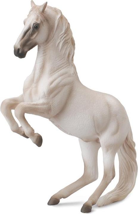 Collecta Horse of the breed Lipizzaner (XL) 88518 buy at Galaxus