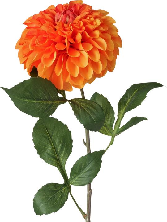 Actual product image Boltze Home Stielblume (9 cm)