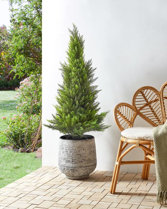 Immagine prodotto Beliani Cedar Tree (120 cm)