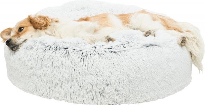 Image du produit Trixie Harvey (Chien)