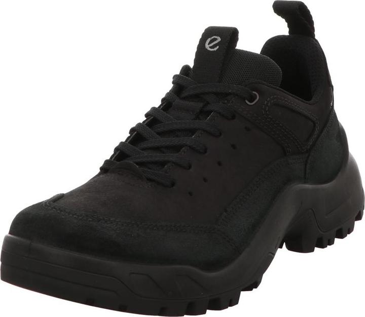 Actual product image Ecco Outdoor shoe OFFROAD (42)