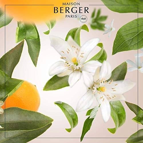 Actual product image Maison Berger Orange Blossom (500 ml)