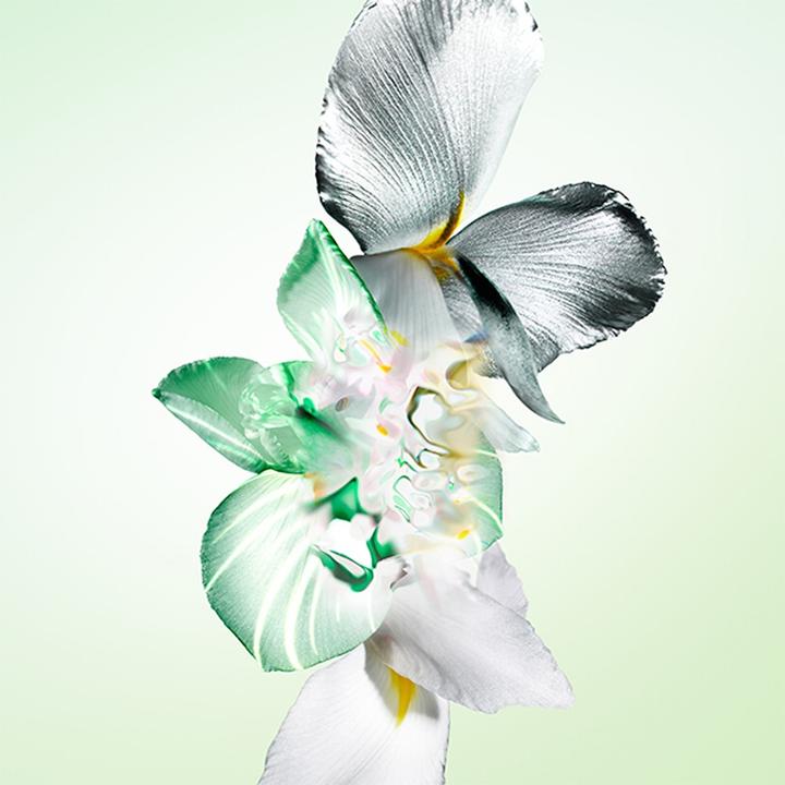 Actual product image Prada Infusion D'iris (Perfume set)