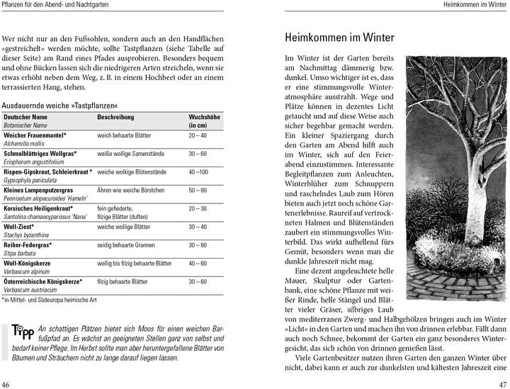 Produktbild Nachts in meinem Garten (Deutsch, Brigitte Kleinod, 2013)