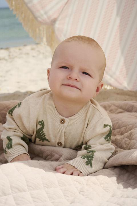 Image du produit Minymo Strickjacke Dinosaurier (62)