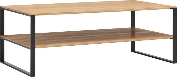 Image du produit micasa Lando (110 x 60 x 40 cm)