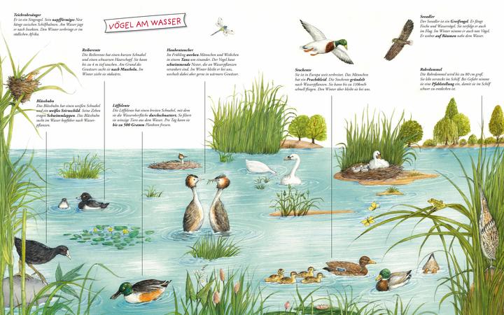 Produktbild Komm mit zum Wasser! (Deutsch, Susanne Riha, 2021)