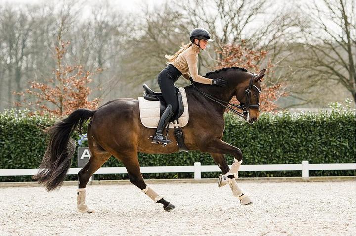 Produktbild Anky Pferde Glocken