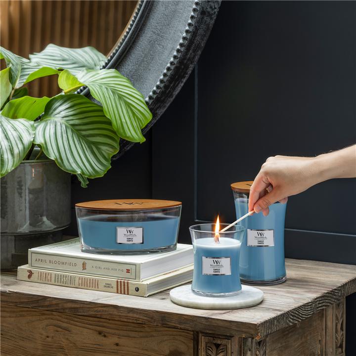 Image du produit WoodWick Tempête (453.60 g)