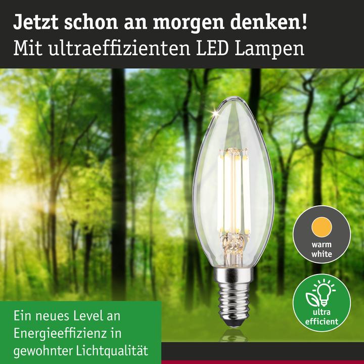 Image du produit Paulmann Kerze Eco-Line (E14, 4 W, 840 lm, 1 x, A)