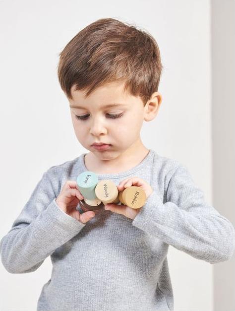 Produktbild Tender Leaf Toys Baumstammtaxi