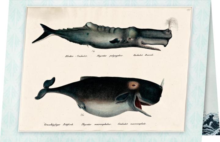 Image du produit 20 000 Meilen unter den Meeren (Allemand, Albert Bartel, Volker Dehs, Jules Verne, 2023)