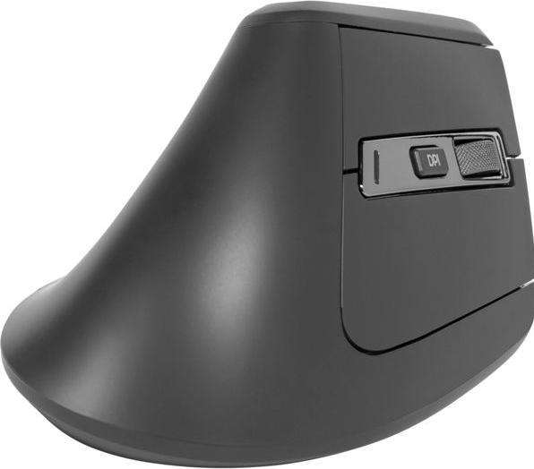Image du produit Rapoo EV310M Ergo. Wirel. Mouse (Sans fil)
