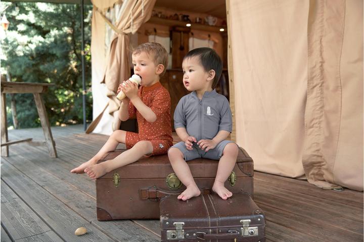 Image du produit Lässig Combinaison UV Tiger Grey Gr. 74/80 (74)